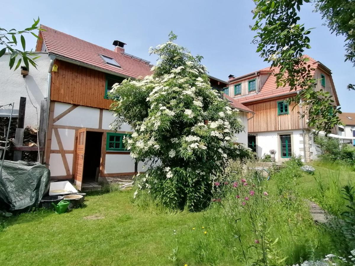 Ferienwohnung Villa Claudia 德累斯顿 外观 照片